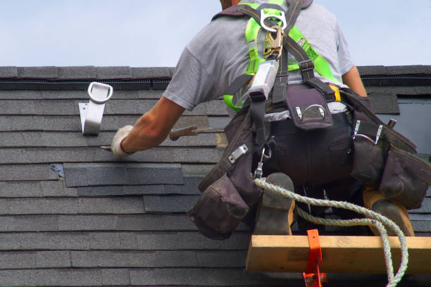 Best Roof Maintenance Services  in Paris, TX