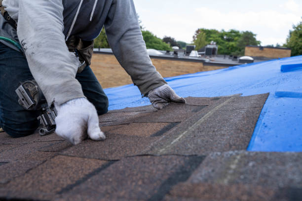 Best Metal Roofing Contractor  in Paris, TX