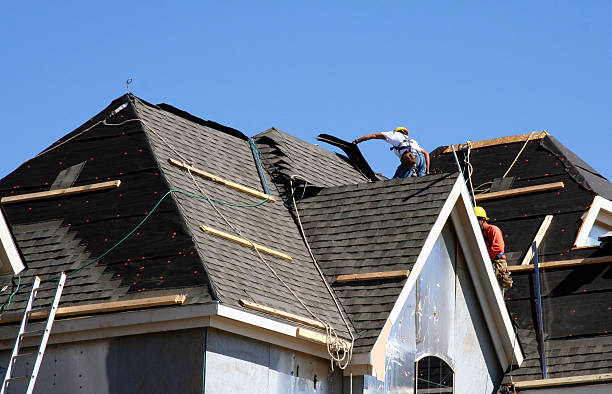 Best Gutter Installation and Roofing  in Paris, TX